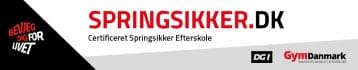 Springsikker-Efterskole-web-banner-182-x-353-768×149